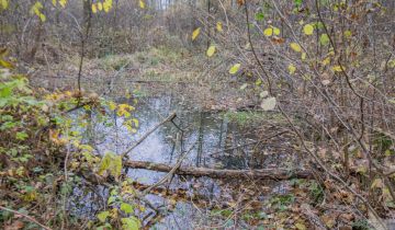 Działka Majdan Sieniawski