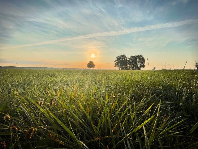 siedlisko, 4 pokoje Radzików-Oczki. Zdjęcie 20