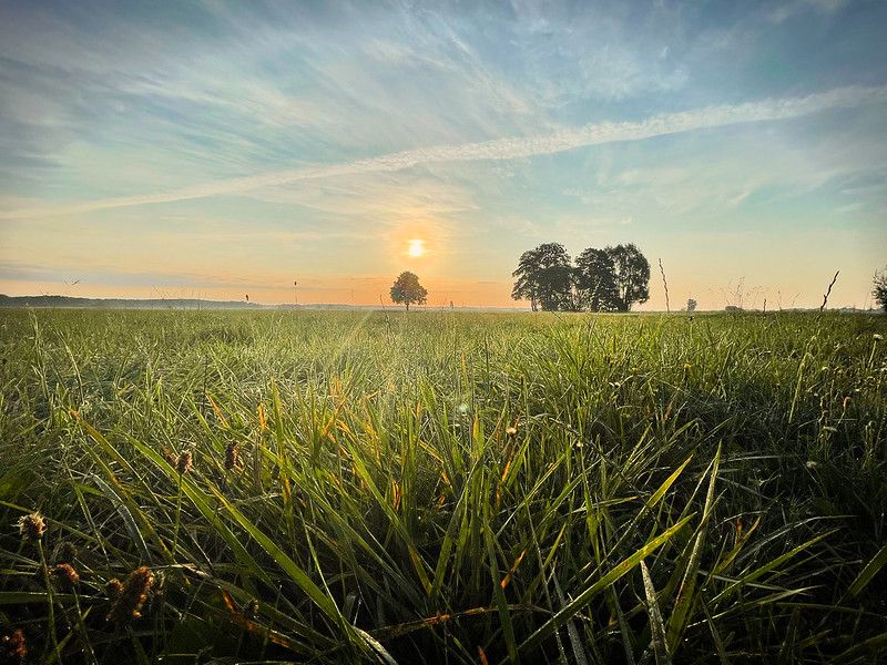 siedlisko, 4 pokoje Radzików-Oczki. Zdjęcie 20