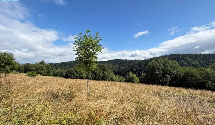 Działka budowlana Krynica-Zdrój Słotwiny