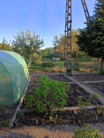 Działka rod Szczecin Bezrzecze, ul. Modra. Zdjęcie 1