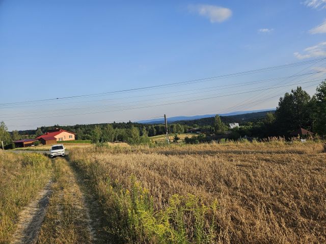 Działka siedliskowa Jodłowa Wiszowa. Zdjęcie 2
