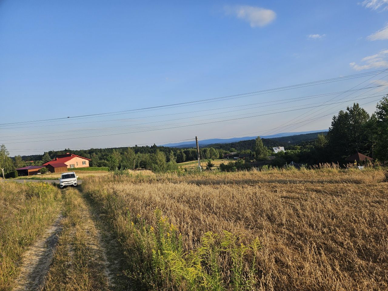 Działka siedliskowa Jodłowa Wiszowa. Zdjęcie 2
