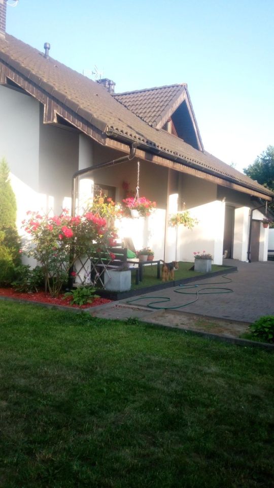 dom wolnostojący, 6 pokoi Borzęcino. Zdjęcie 5