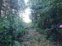 Działka budowlana Dobrogosty. Zdjęcie 3