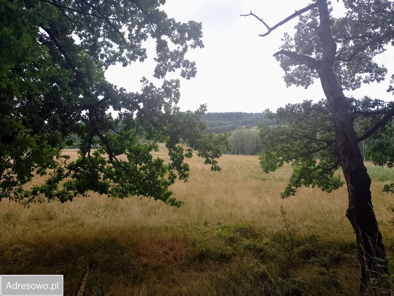 Działka budowlana Długopole Dolne. Zdjęcie 8