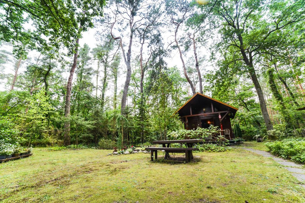 dom wolnostojący, 6 pokoi Poddębie, ul. Sosnowa. Zdjęcie 29