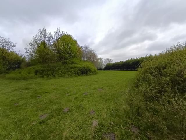 Działka rolna Smogorzewo Pańskie. Zdjęcie 10