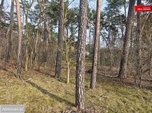 Działka budowlana Łask Kolumna, ul. Wojska Polskiego. Zdjęcie 1