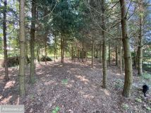 Działka budowlana Kolonia Rybacka, ul. Nadbrzeżna. Zdjęcie 4