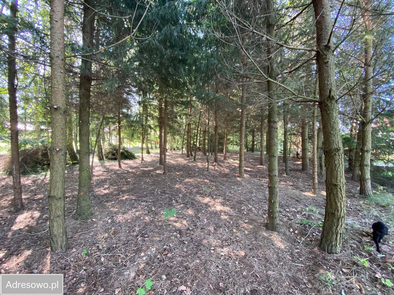 Działka budowlana Kolonia Rybacka, ul. Nadbrzeżna. Zdjęcie 5