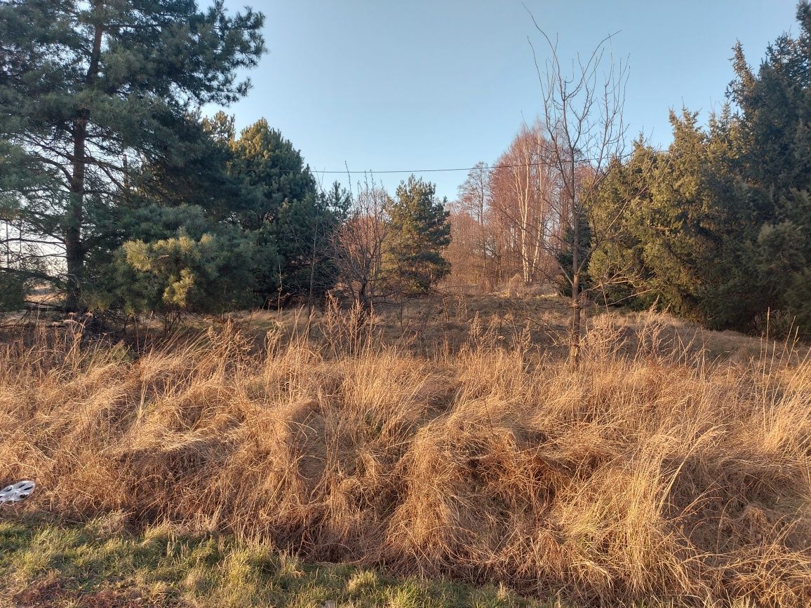 Działka budowlana Kaźmierzów. Zdjęcie 3