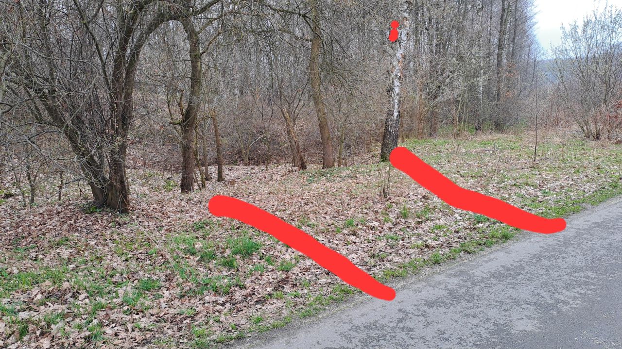 Działka leśna Babice, ul. Piaskowa. Zdjęcie 9