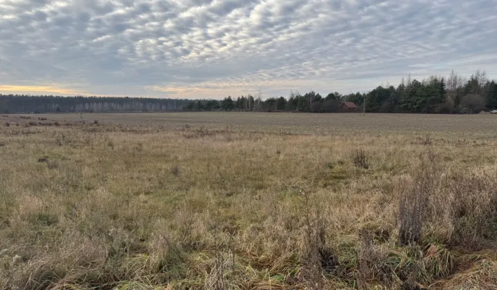 Działka budowlana Kosewko, ul. Letniskowa