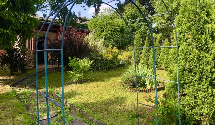 Działka rekreacyjna Łódź Śródmieście, ul. Henryka Sienkiewicza