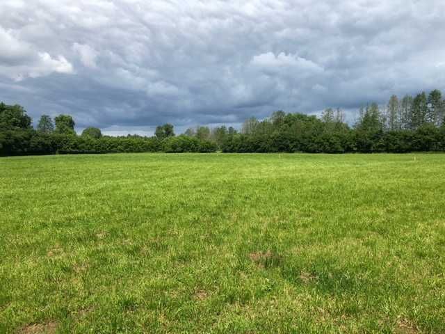 Działka budowlana Górsk. Zdjęcie 1