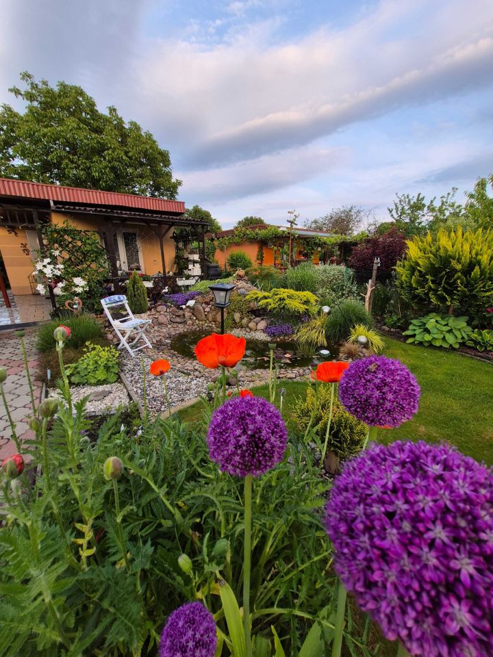 Działka rod Ostrów Wielkopolski. Zdjęcie 2