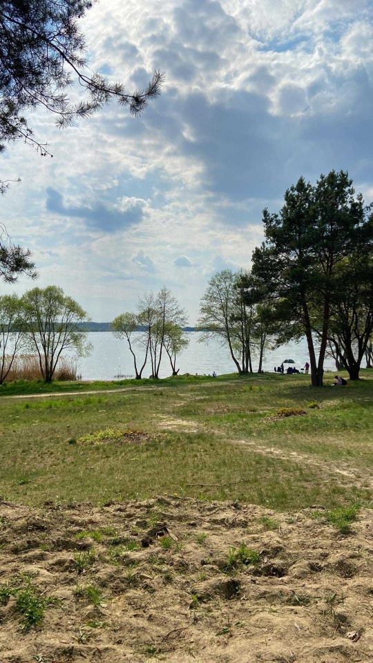 Działka rekreacyjna Niewiesze. Zdjęcie 2