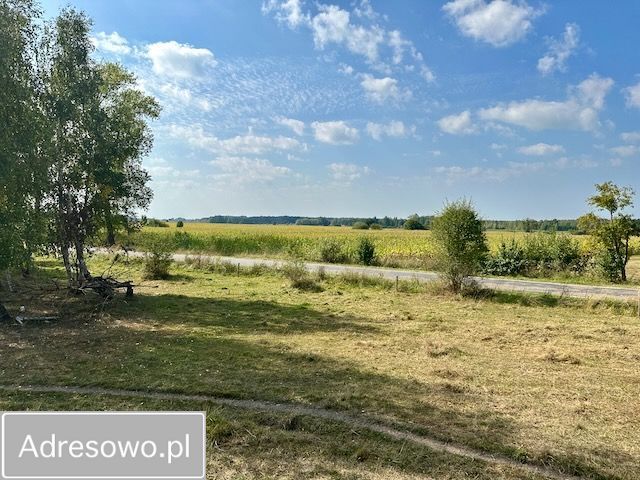 Działka budowlana Rafałówka. Zdjęcie 5