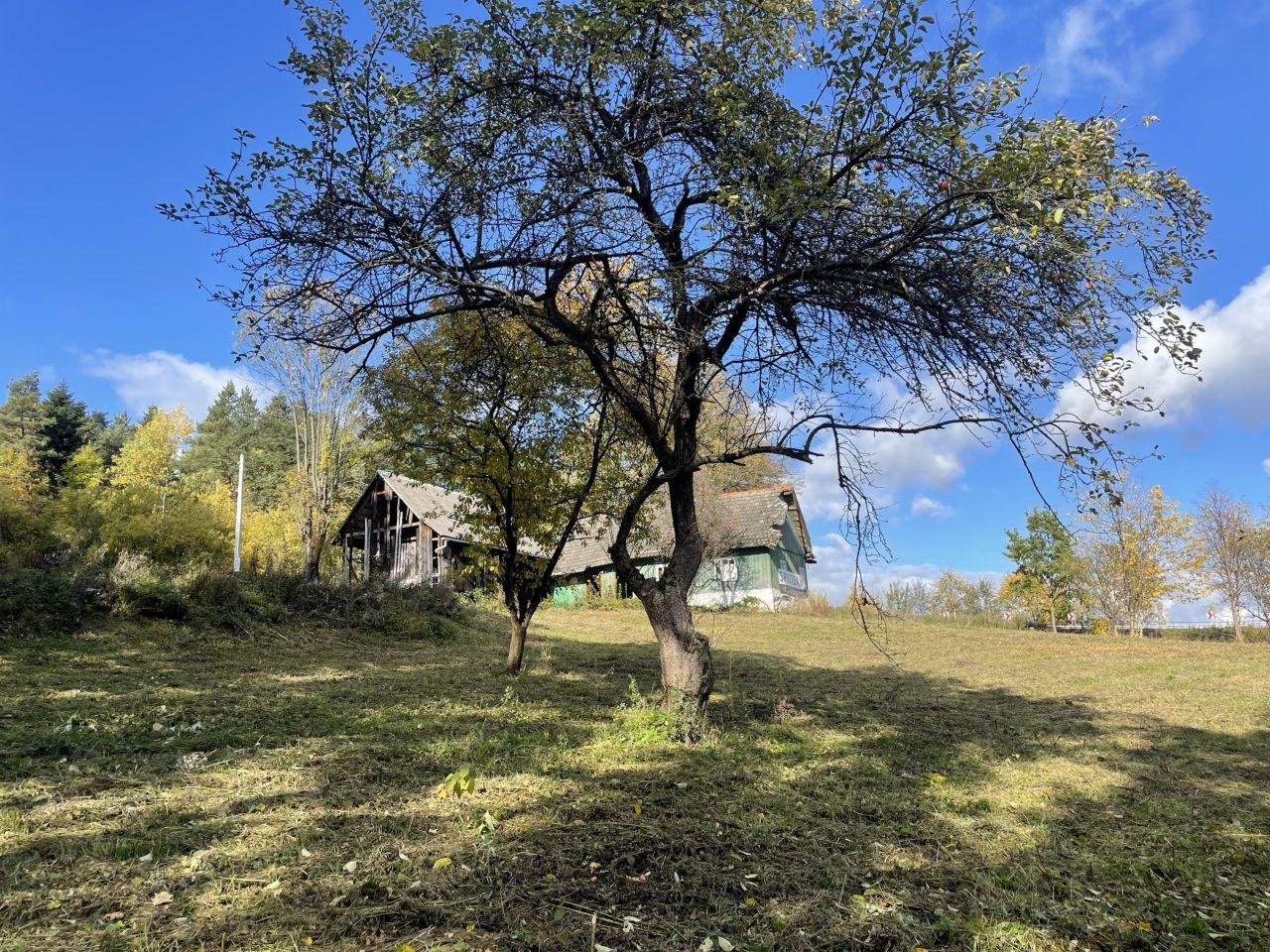 Działka siedliskowa Trzetrzewina Sołtystwo. Zdjęcie 15