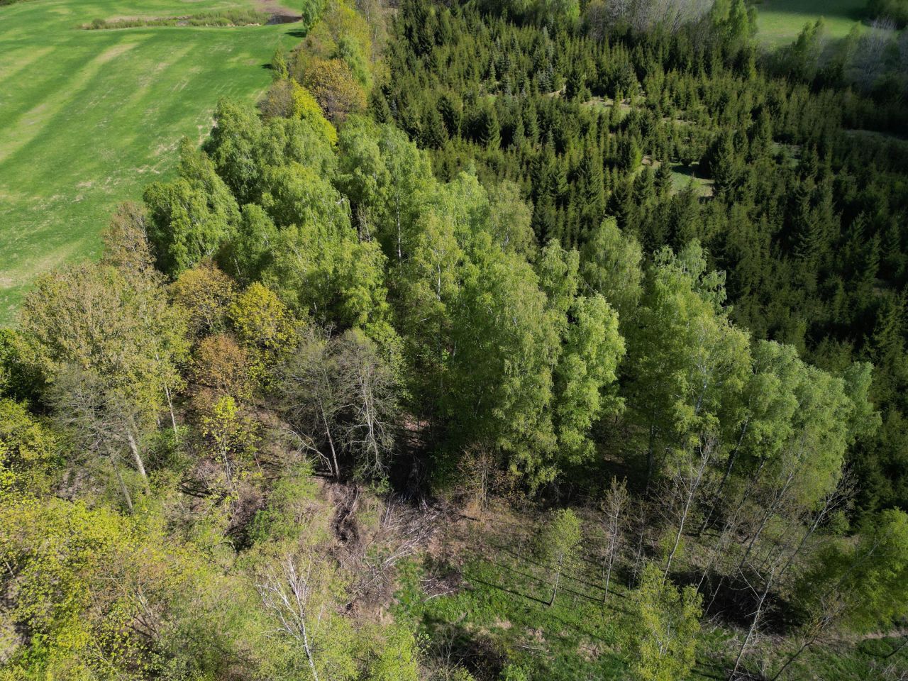 Działka rolna Kabikiejmy. Zdjęcie 10