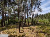 Działka budowlana Grzybów