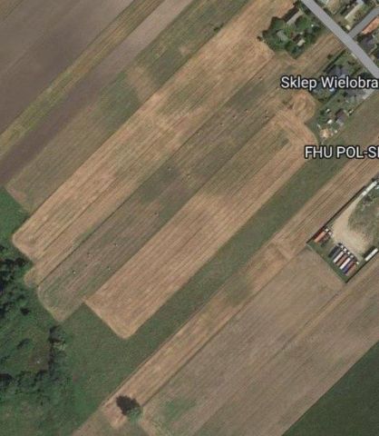 Działka rekreacyjna Skrzynki. Zdjęcie 1