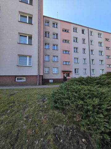 Mieszkanie 2-pokojowe Kazimierza Wielka, ul. Partyzantów. Zdjęcie 1