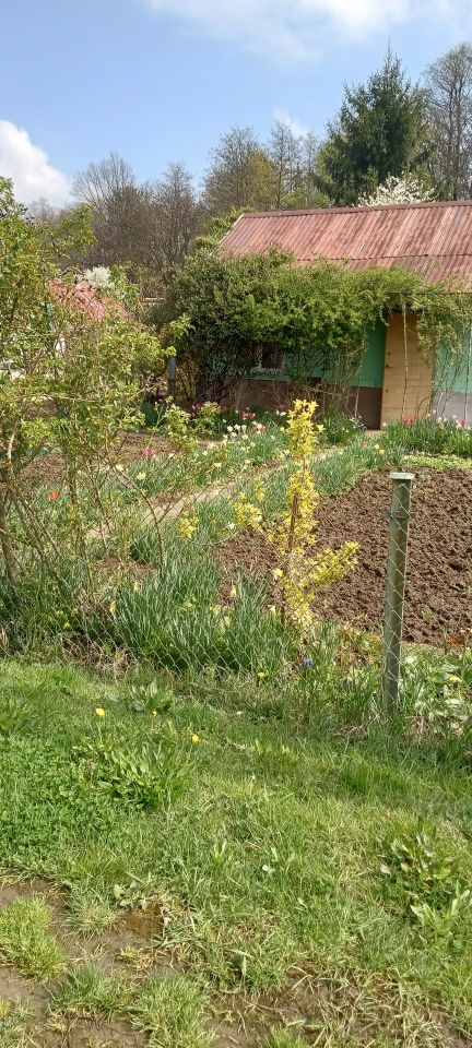 Działka rod Nysa, ul. Adama Mickiewicza. Zdjęcie 4