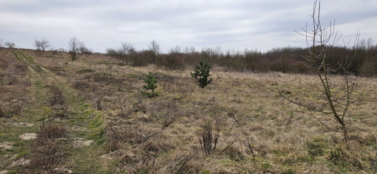 Działka budowlana Gostchorze. Zdjęcie 5