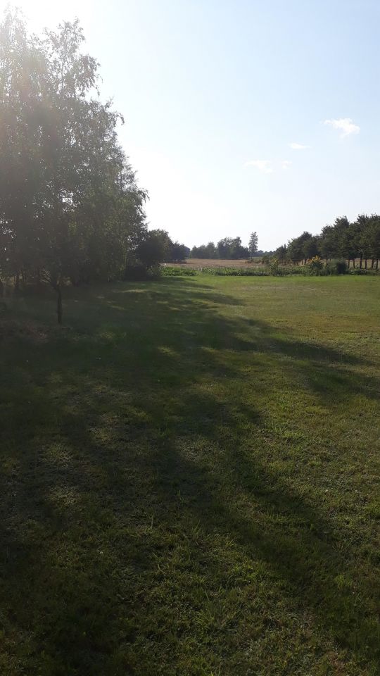 Działka siedliskowa Tarkowo Dolne. Zdjęcie 12