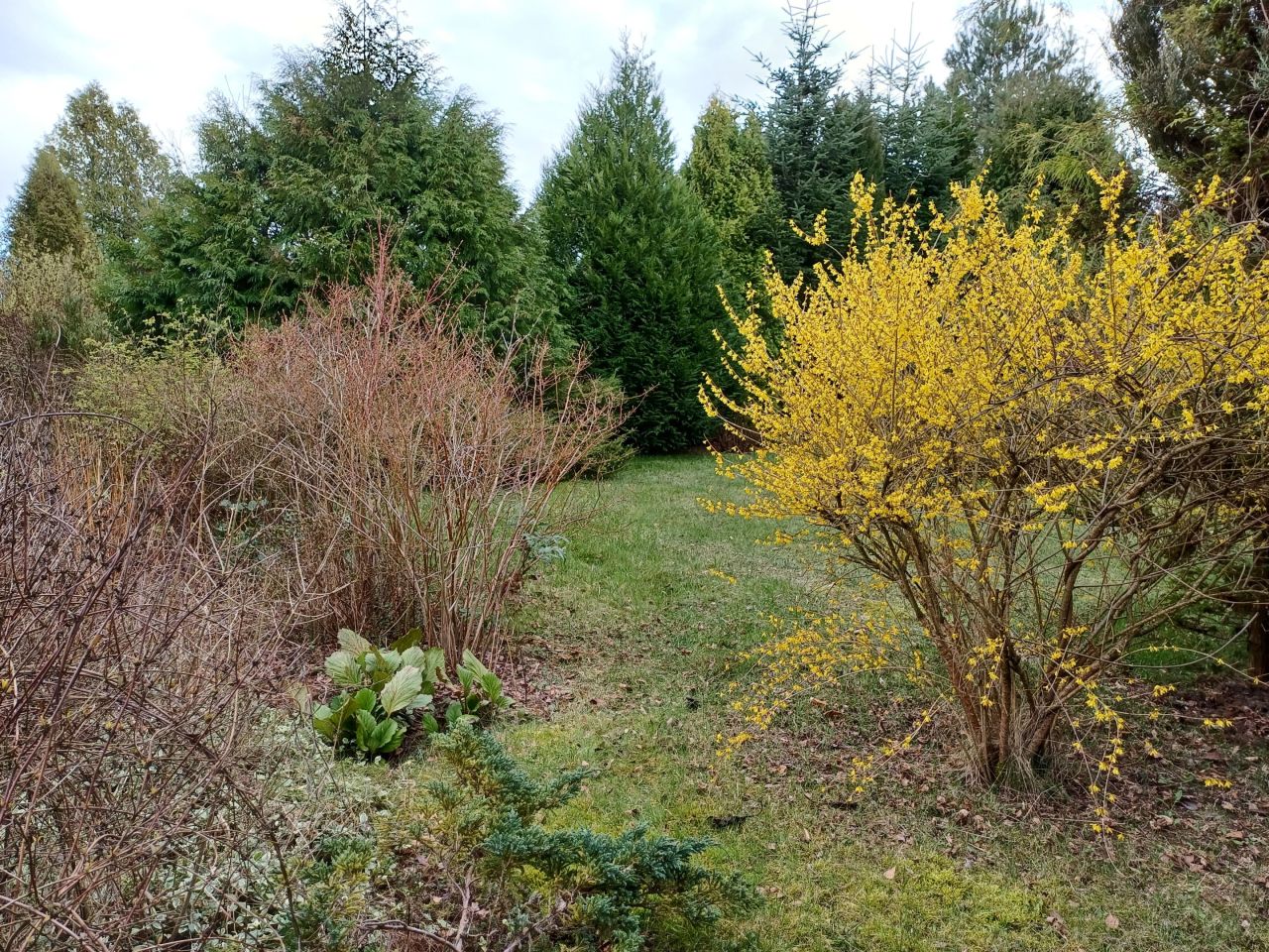 Działka rod Mokra Prawa. Zdjęcie 10