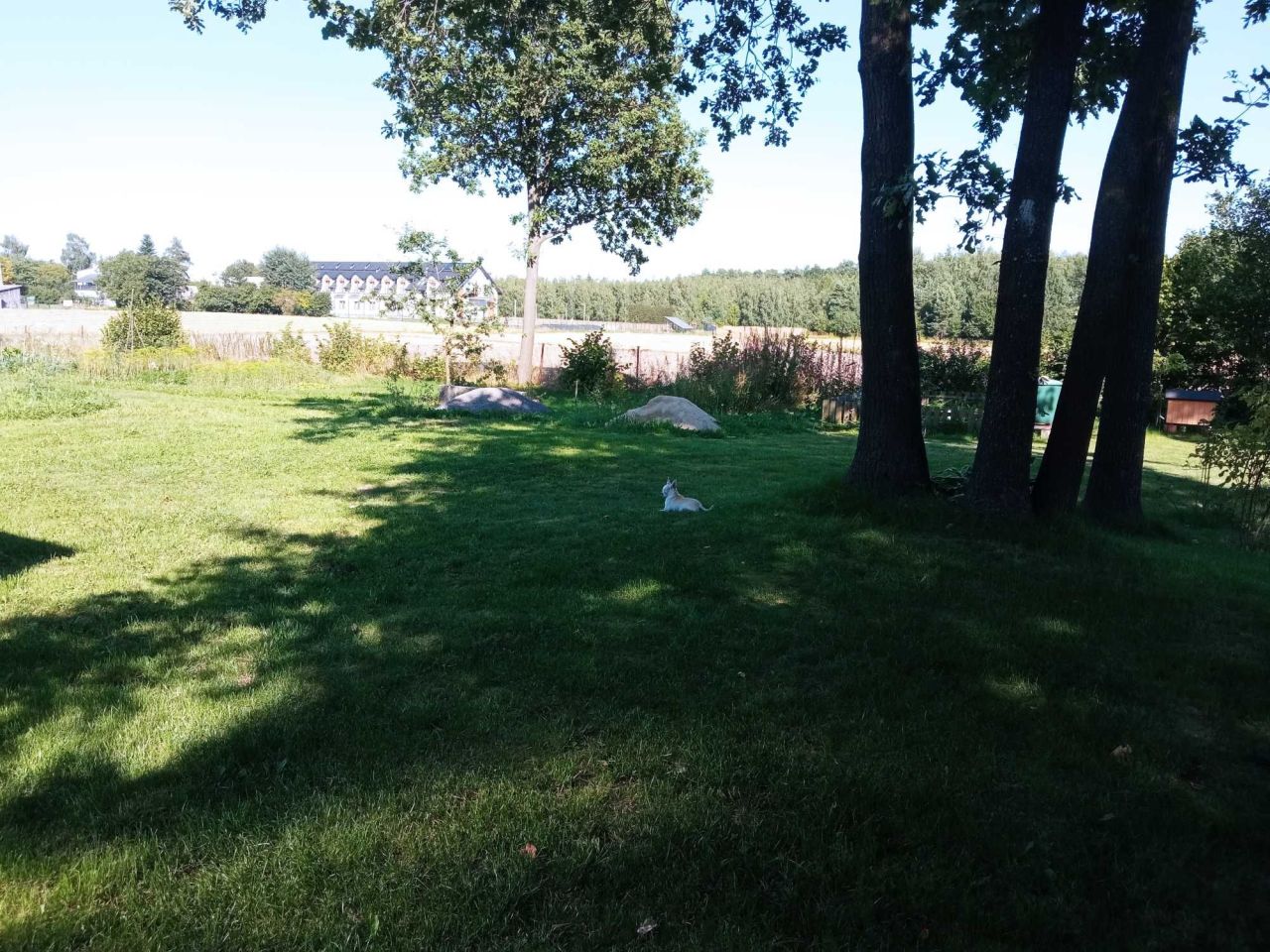 Działka siedliskowa Marianówka. Zdjęcie 3