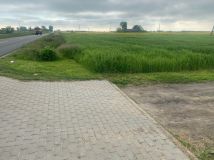 Działka rolno-budowlana Niemojewo. Zdjęcie 1