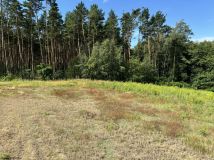 Działka rolno-budowlana Sulnówko, Sulnowko 18. Zdjęcie 4