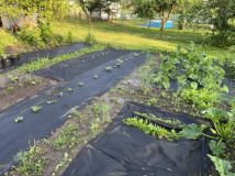 Działka rod Olecko. Zdjęcie 2