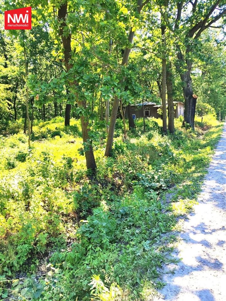 Działka rolno-budowlana Halinów. Zdjęcie 5