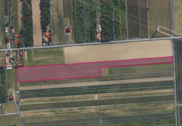 Działka rolna Sobienie Szlacheckie Sobienie Murowane. Zdjęcie 1