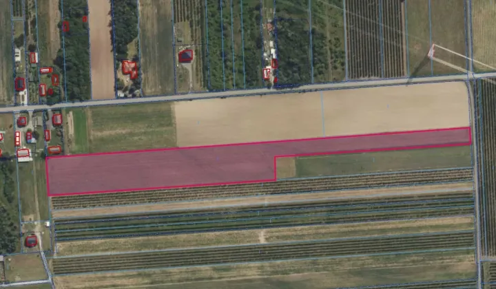 Działka rolna Sobienie Szlacheckie Sobienie Murowane