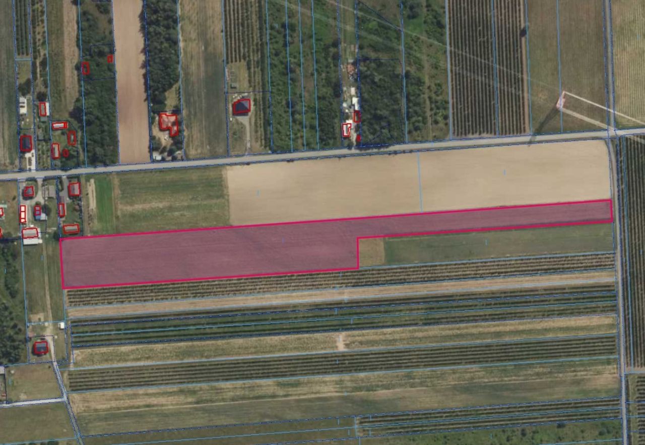 Działka rolna Sobienie Szlacheckie Sobienie Murowane