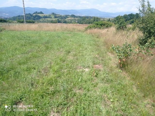 Działka rolna Juszczyna. Zdjęcie 1