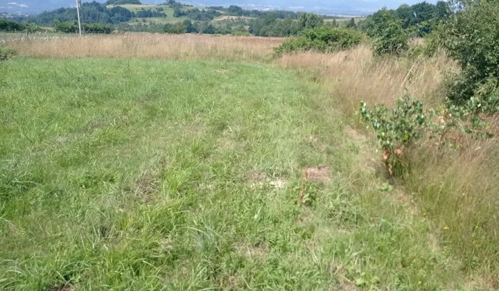 Działka rolna Juszczyna