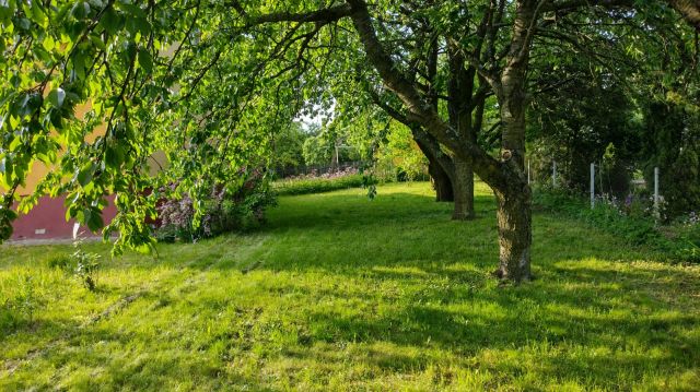 dom wolnostojący, 3 pokoje Sulmierzyce, ul. Południowa. Zdjęcie 5