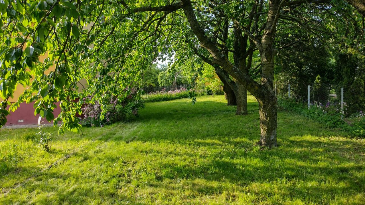 dom wolnostojący, 3 pokoje Sulmierzyce, Południowa. Zdjęcie 6