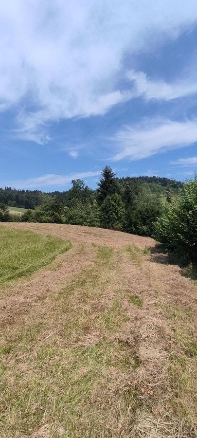 Działka budowlana Zawóz. Zdjęcie 8