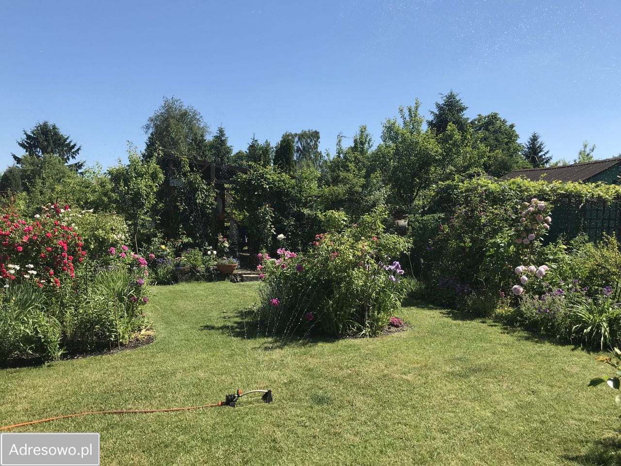 Działka rekreacyjna Wołomin, ul. Kurkowa