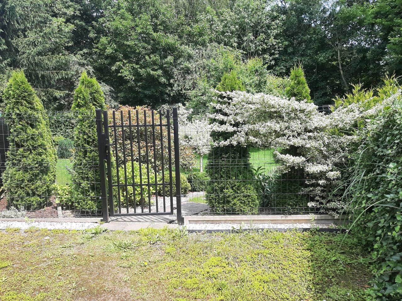 Działka rekreacyjna Ruda Śląska Ruda, ul. Porębska