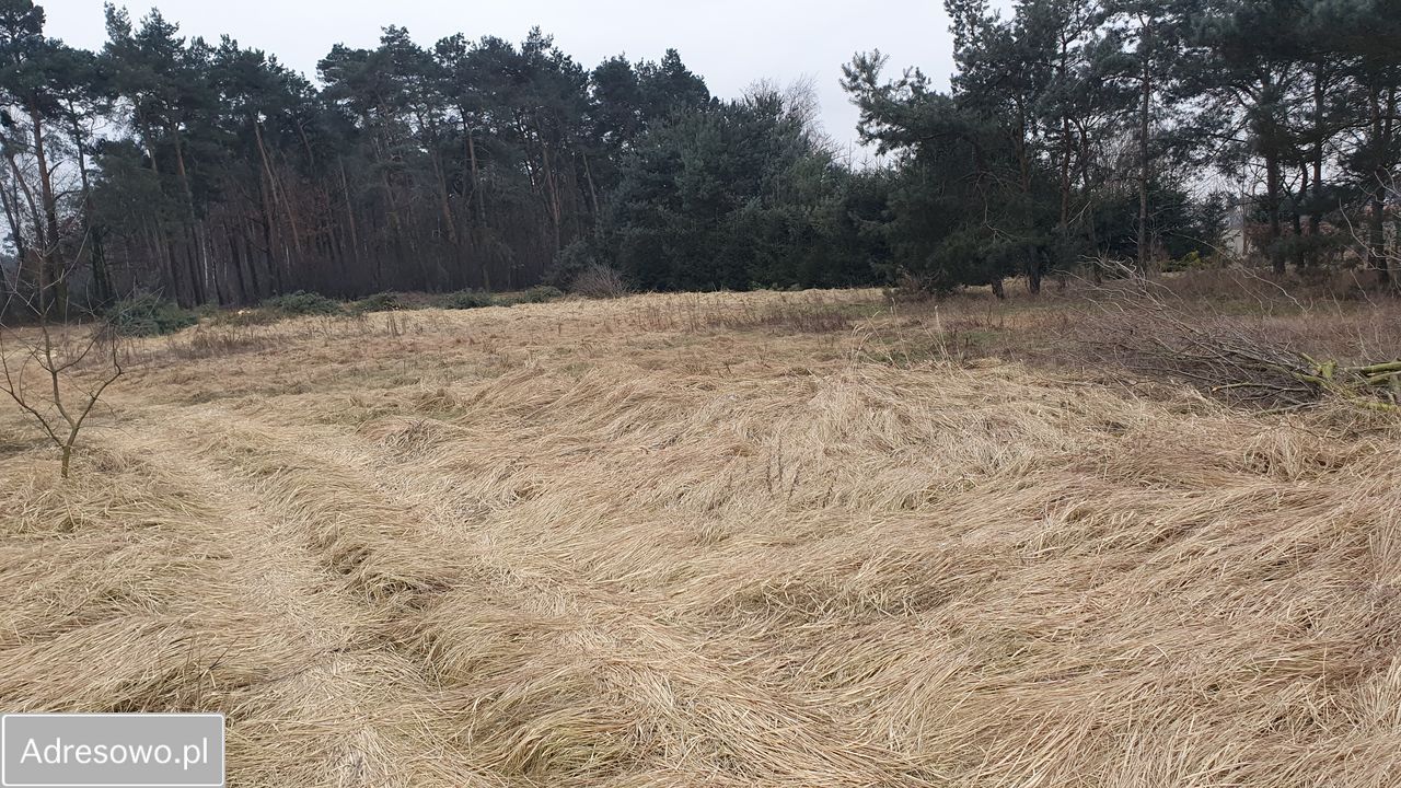Działka budowlana Topola Wielka, ul. Długa. Zdjęcie 3