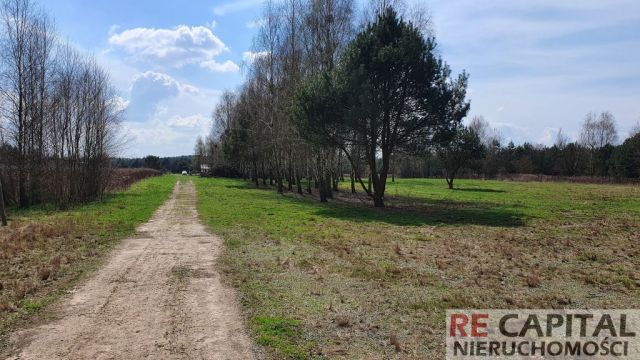 Działka budowlana Szymanówek. Zdjęcie 4