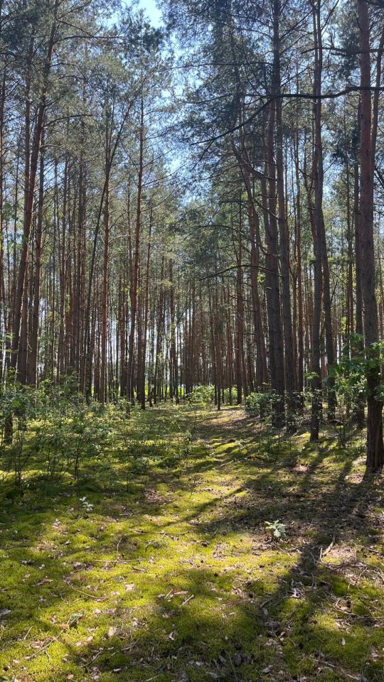 Działka budowlana Kadzidło, Podtatarze. Zdjęcie 4